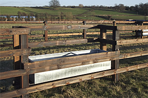 Ben Bonnett Fencing