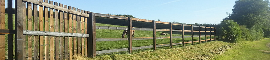 Ben Bonnett Fencing