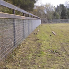 Ben Bonnett Fencing - stallion paddocks